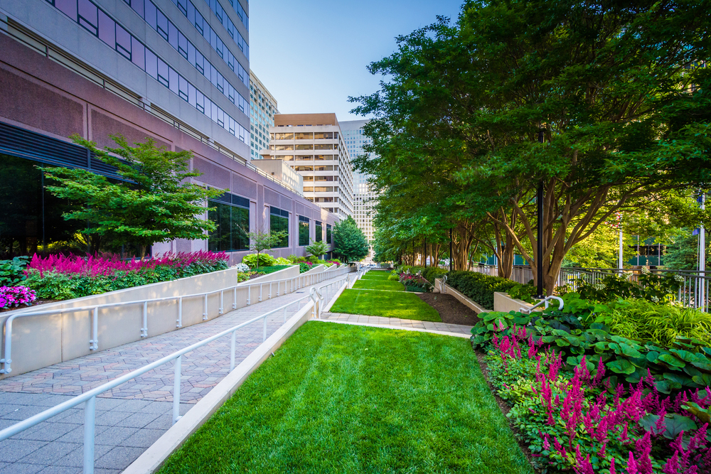 Outsourcing Your Facility’s Landscaping Allows You To Focus On Revenue Generating Activities.
