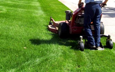 Is Your Lawn Service Providing Sustainable Lawn Management By Using Species and Practices That Are Appropriate To Our Region?…
