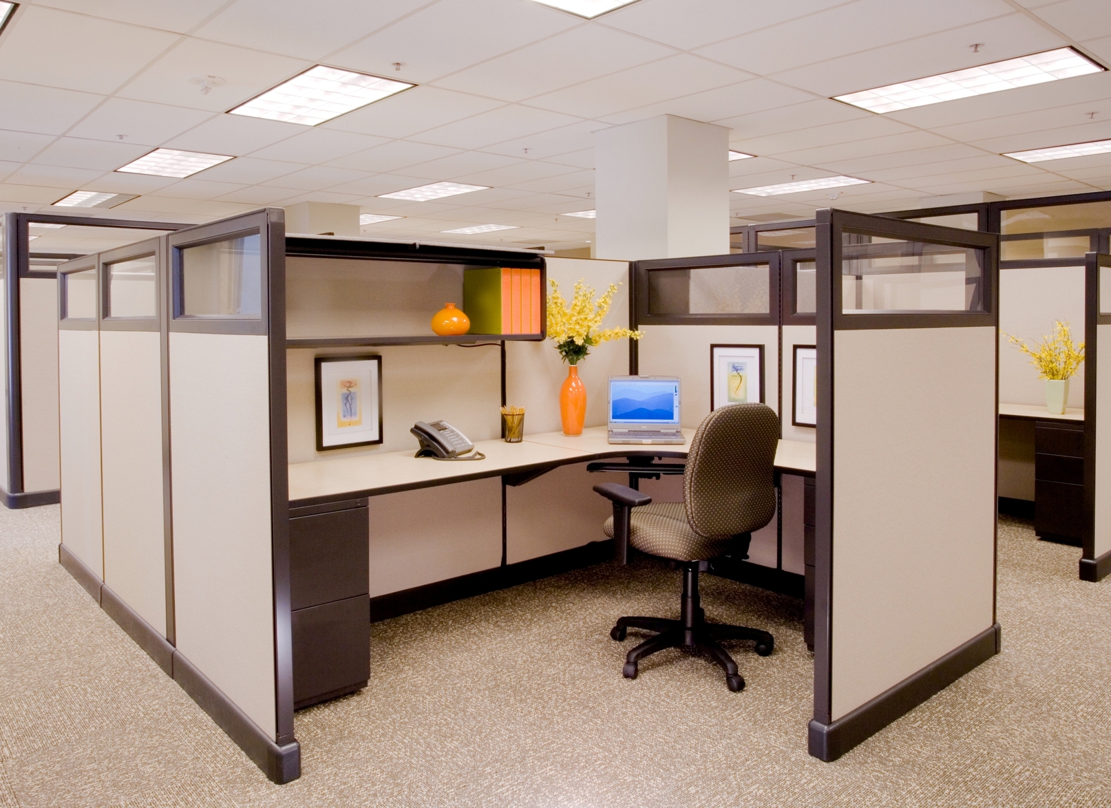 Do You Have A Cleaning Schedule For Your Cubicle Walls