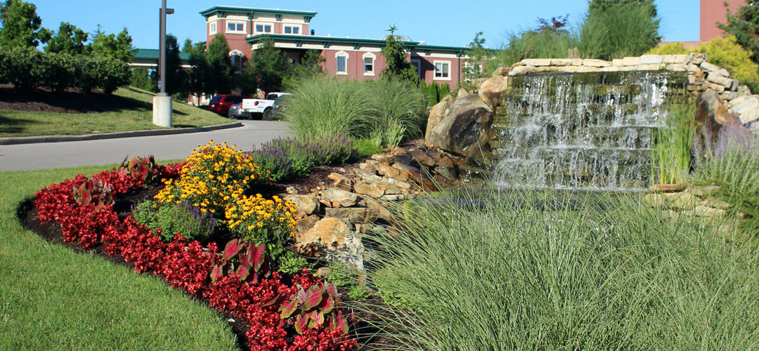 Getting Bids for Your Company’s Landscape Maintenance