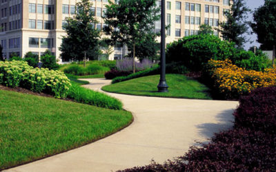 How Landscaping Design Within an Office Park Can Affect The Way You Feel About The Companies In It.