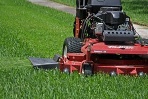 Lawn Care Tips – Minimize Lawn Care Problems By Employing The Following Tasks at the Right Times of the Year