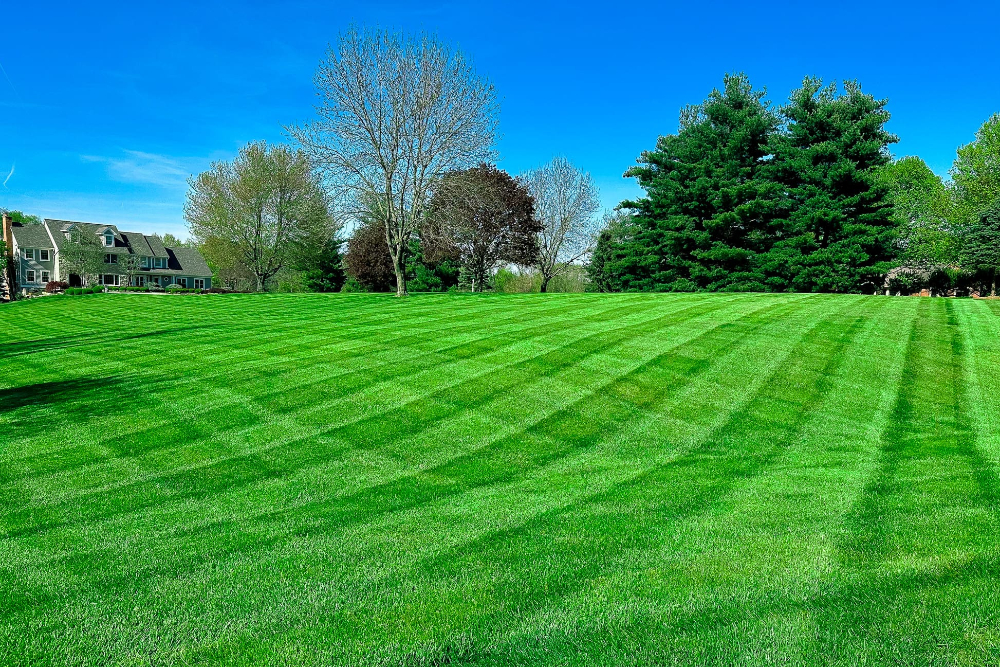 Do You Know The 6 Steps to a Healthy Lawn?…