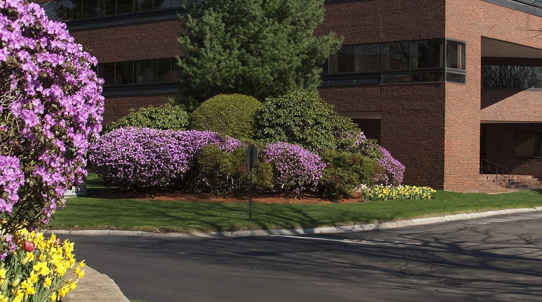Tips On How to Get Better Bids for Your Company’s Landscape Maintenance