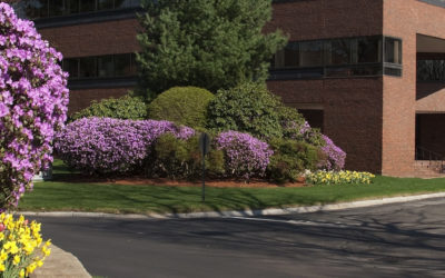 Tips On How to Get Better Bids for Your Company’s Landscape Maintenance