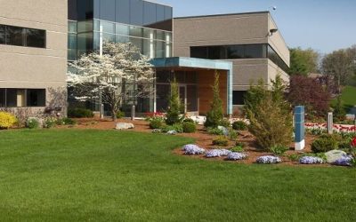 6 Economic Advantages of Contracting With a Commercial Landscaping Company…