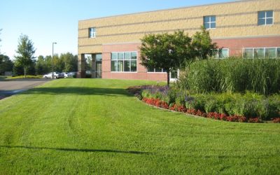 Commercial Landscaping Contracts – The Baseline Level of Service You Should Expect In Any Landscaping Contract…