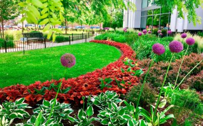 Front Walkway Landscaping Ideas for Commercial Outdoor Spaces…