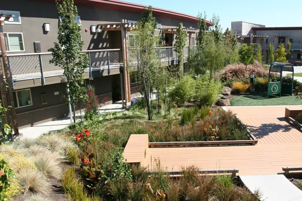 5 Budget Friendly Commercial Landscape Enhancements that are Good for the Environment…