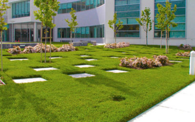 6 Services You Can Add Your Commercial Landscaping Services Contract To Prevent Future Surprises…