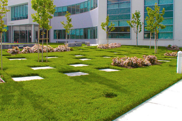 6 Services You Can Add Your Commercial Landscaping Services Contract To Prevent Future Surprises…
