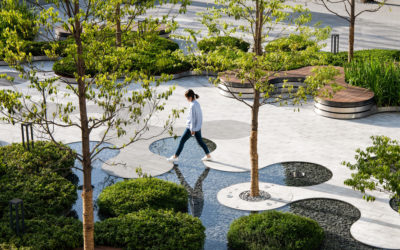 3 Great Ways to Save Water When Caring For Your Commercial Landscaping…