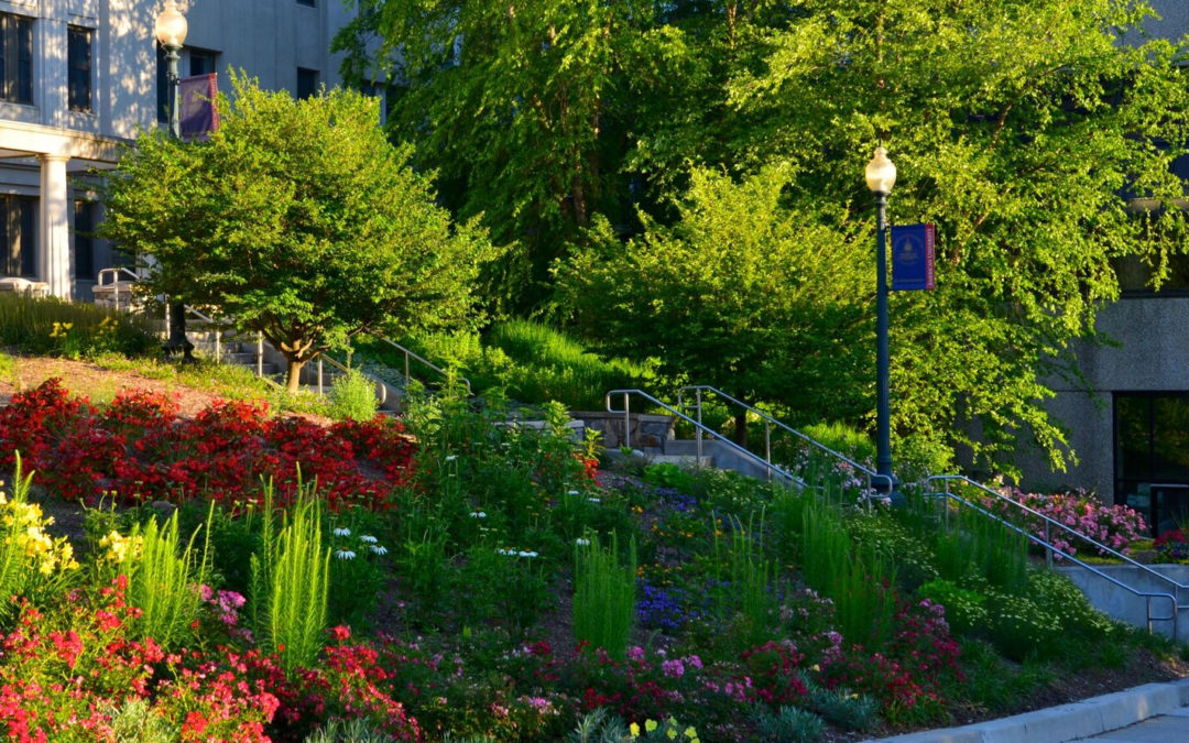 How Landscaping At Educational Institutions Attracts Students and Parents and Promotes School Pride…