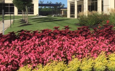 10 Commercial Landscaping Tips to Enhance the Appearance of Your Business Property…