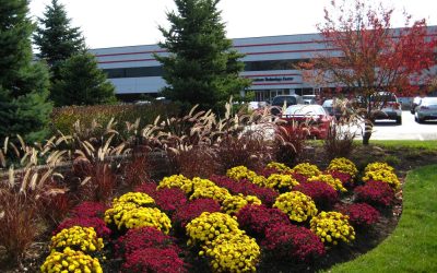 How To Revitalize Your Commercial Property’s Landscape for the Fall Season…