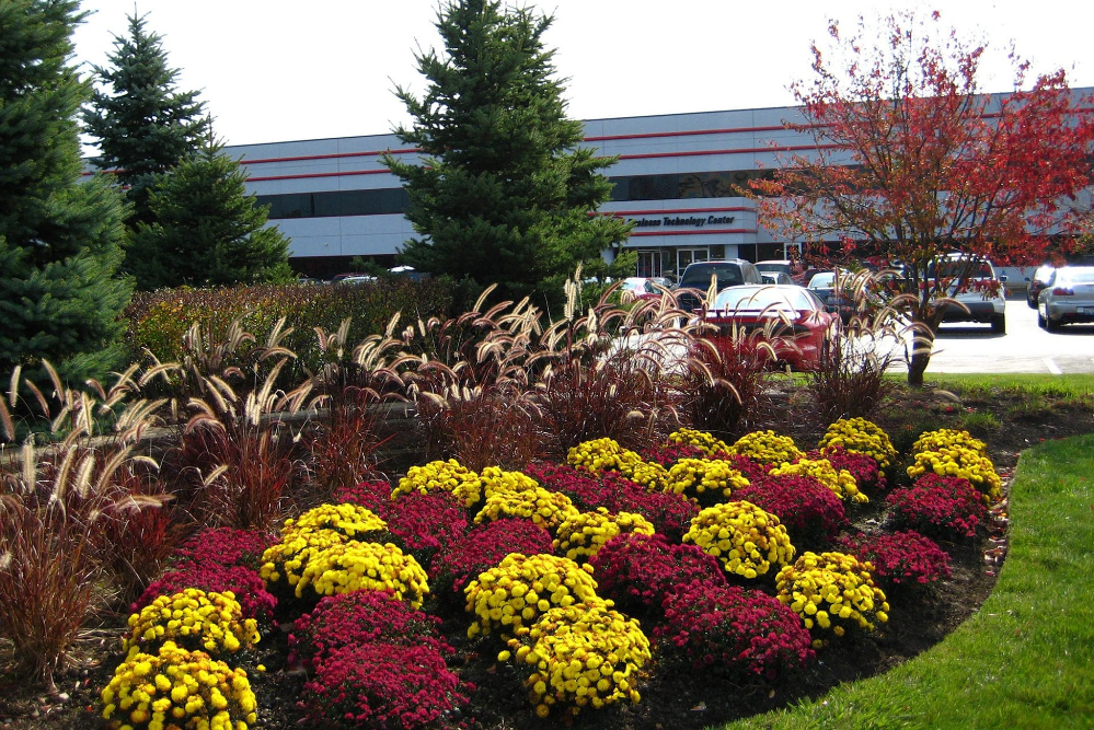 How To Revitalize Your Commercial Property’s Landscape for the Fall Season…