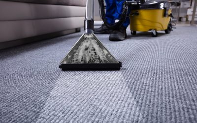 12 Telltale Signs It’s Time for Professional Carpet Cleaning…