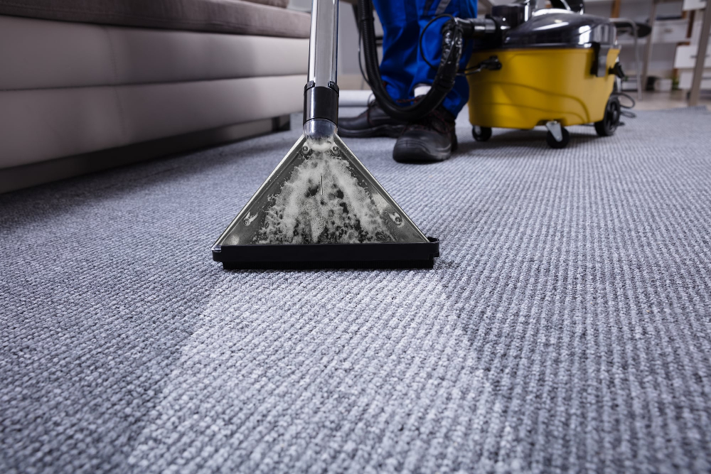 12 Telltale Signs It’s Time for Professional Carpet Cleaning…