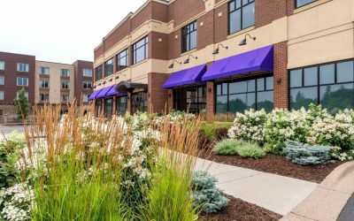 Year-Round Curb Appeal: Seasonal Landscaping Tips for Business Owners…
